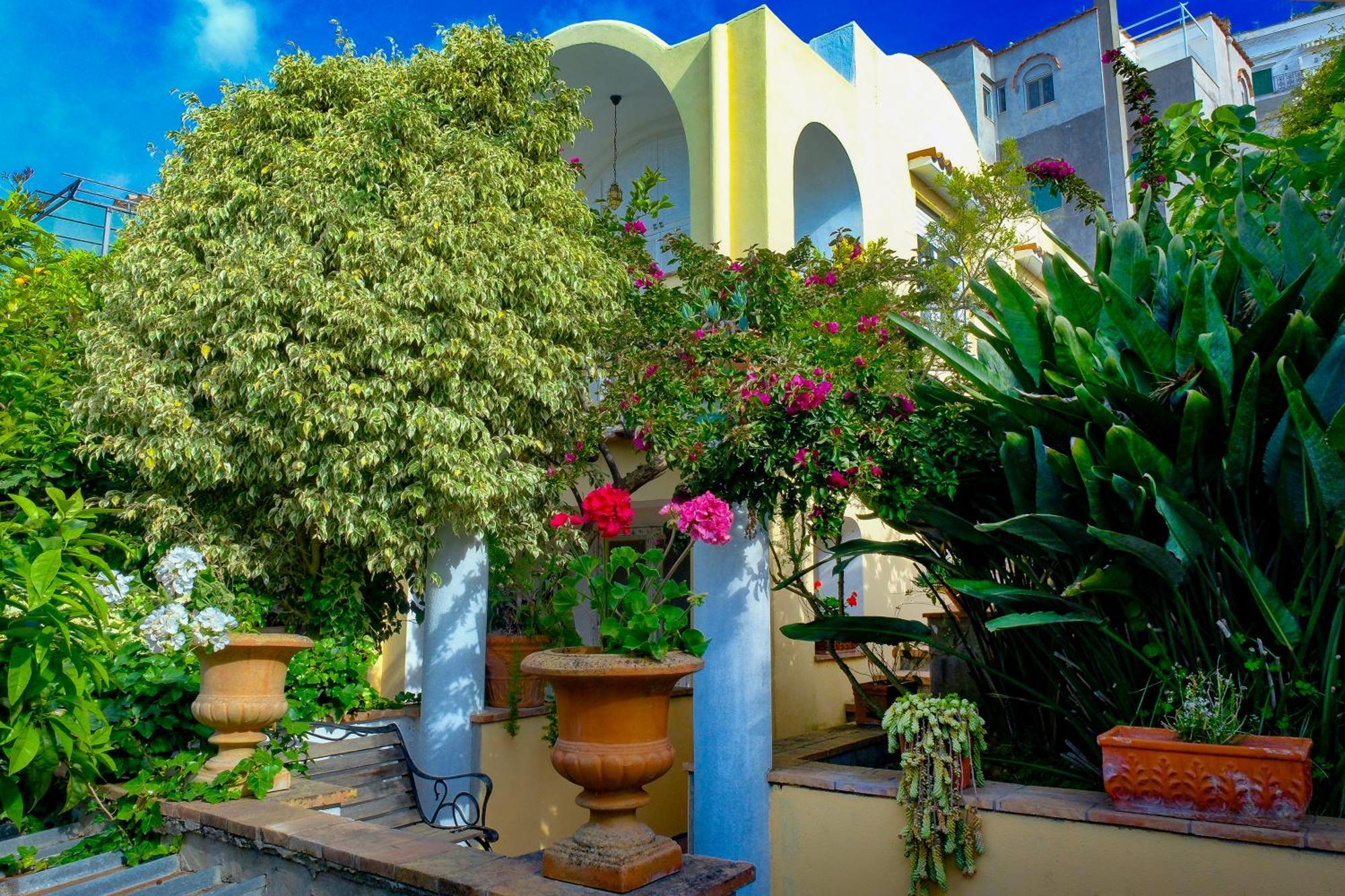 קאפרי Villa Dorothee מראה חיצוני תמונה