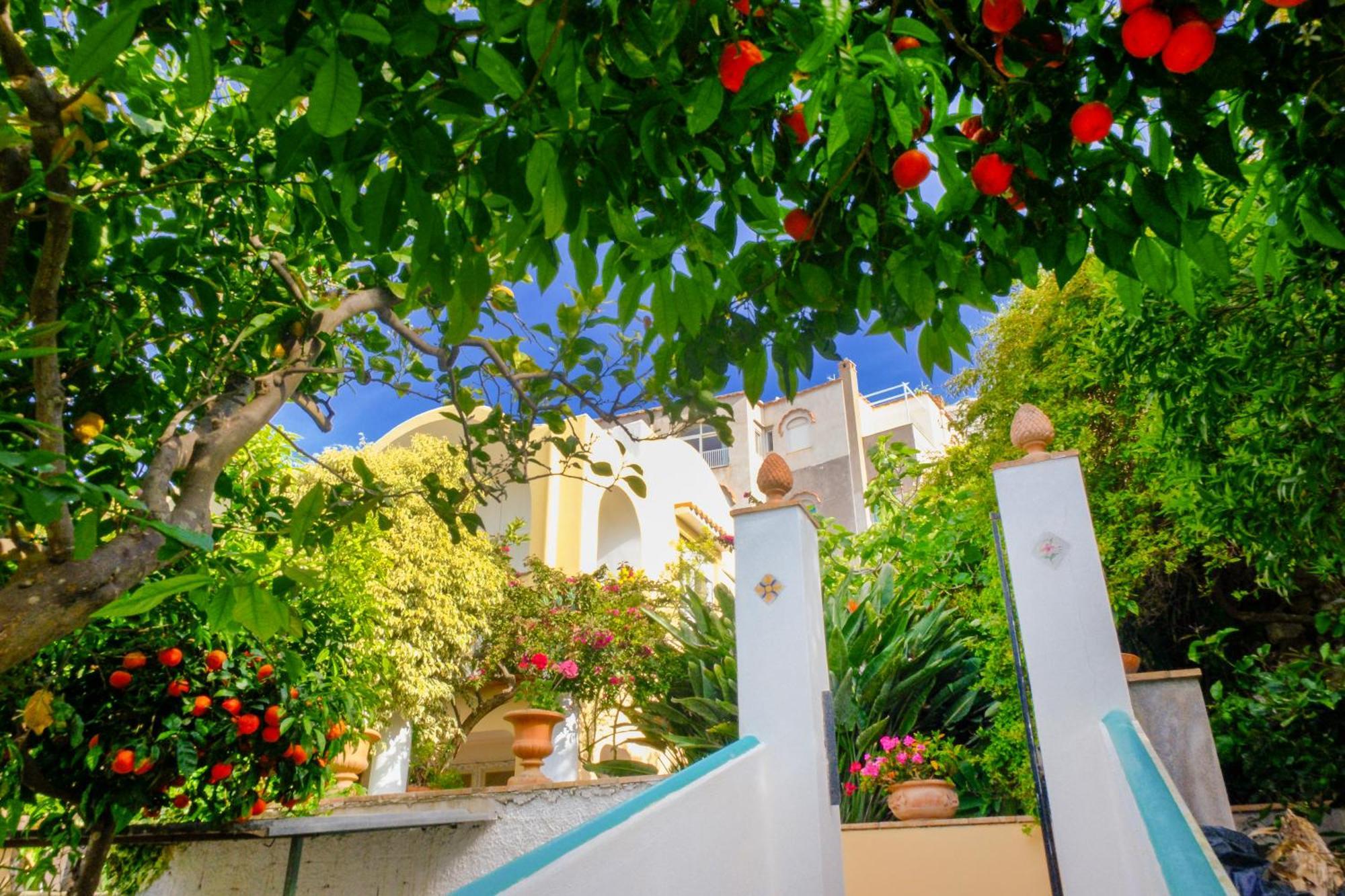קאפרי Villa Dorothee מראה חיצוני תמונה