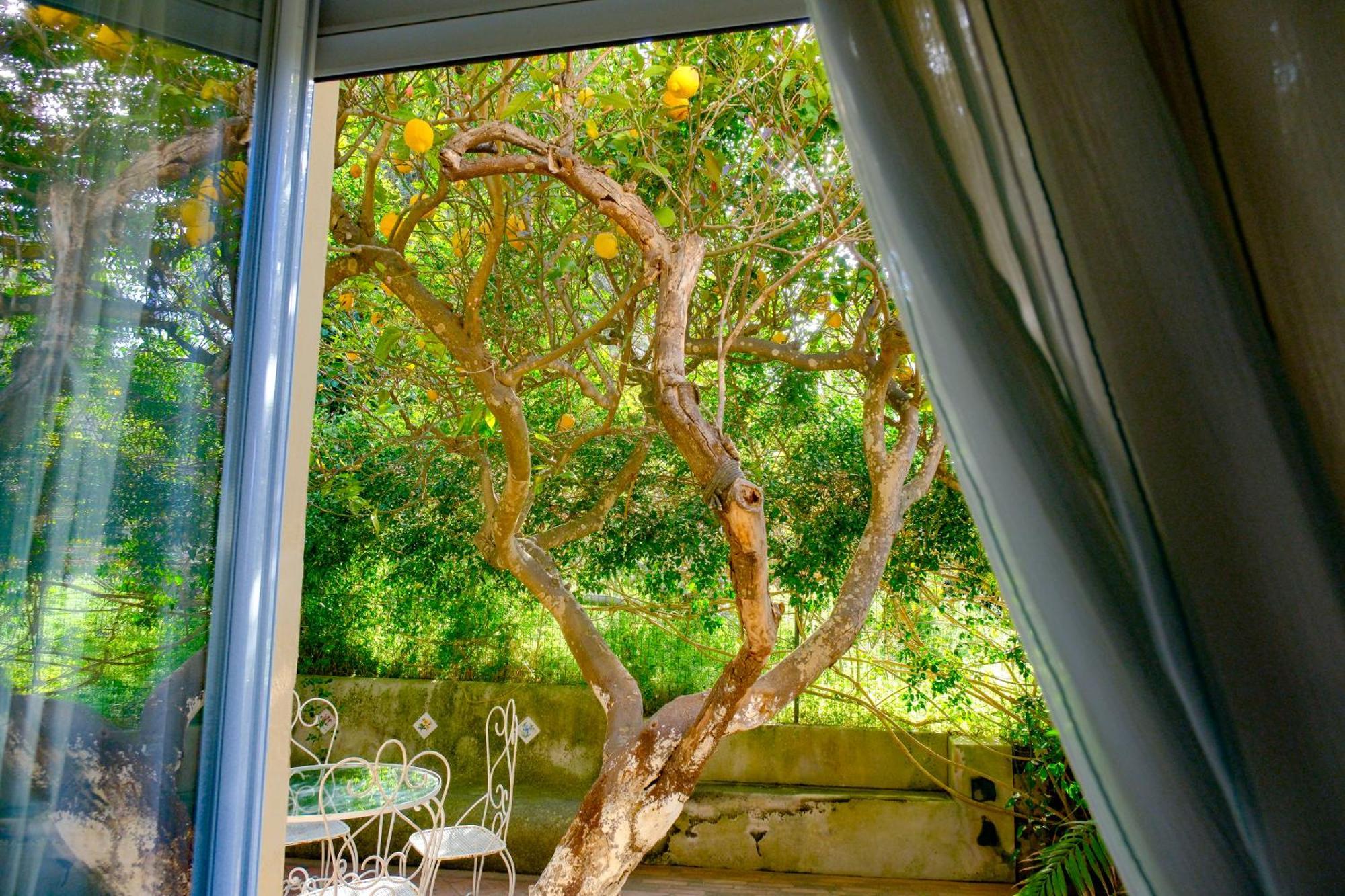 קאפרי Villa Dorothee מראה חיצוני תמונה